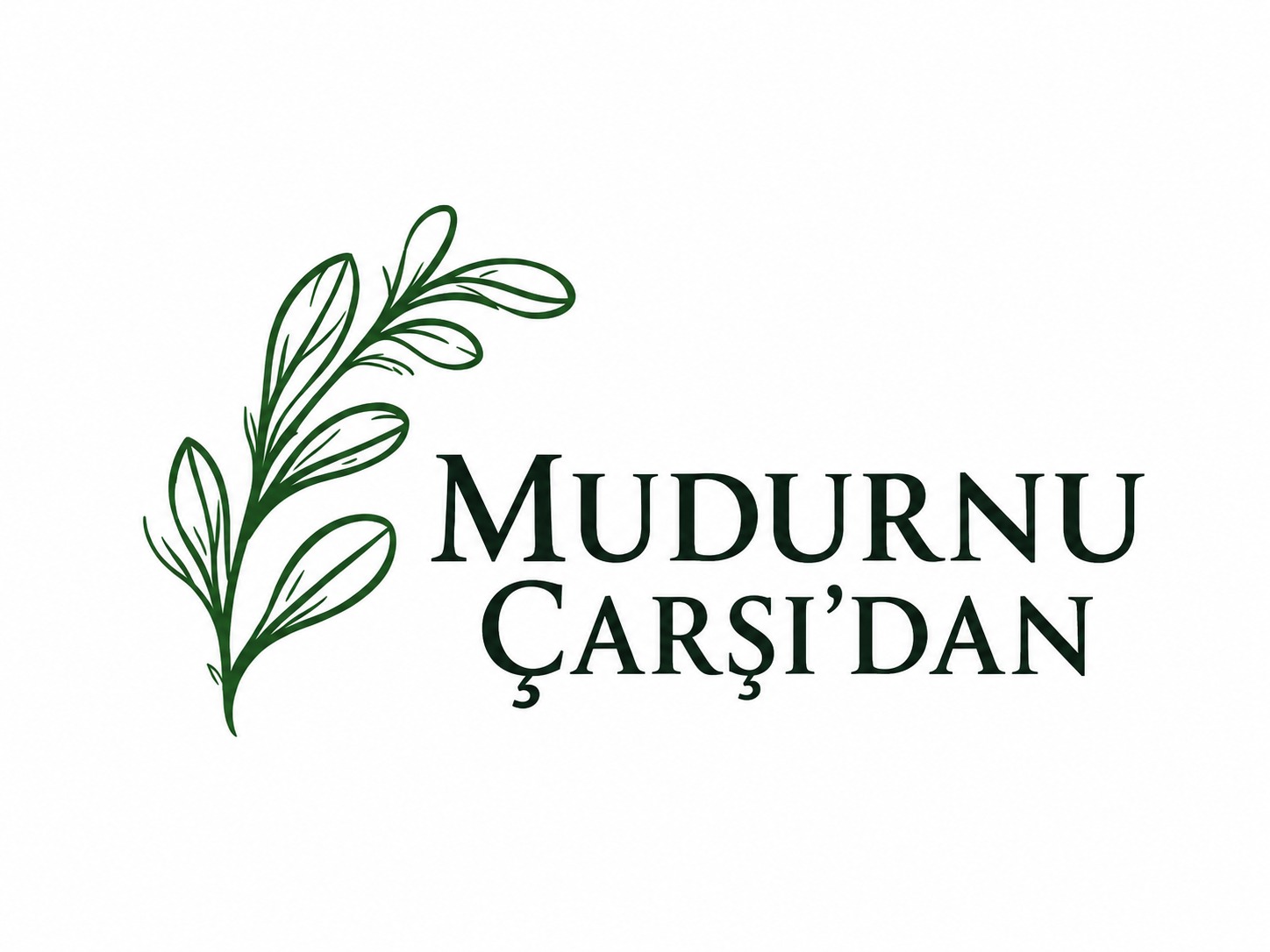 S. S. Mudurnu Ahi Baciyan Kadın Girişimi Üretim Ve İişletme Kooperatifi Logosu